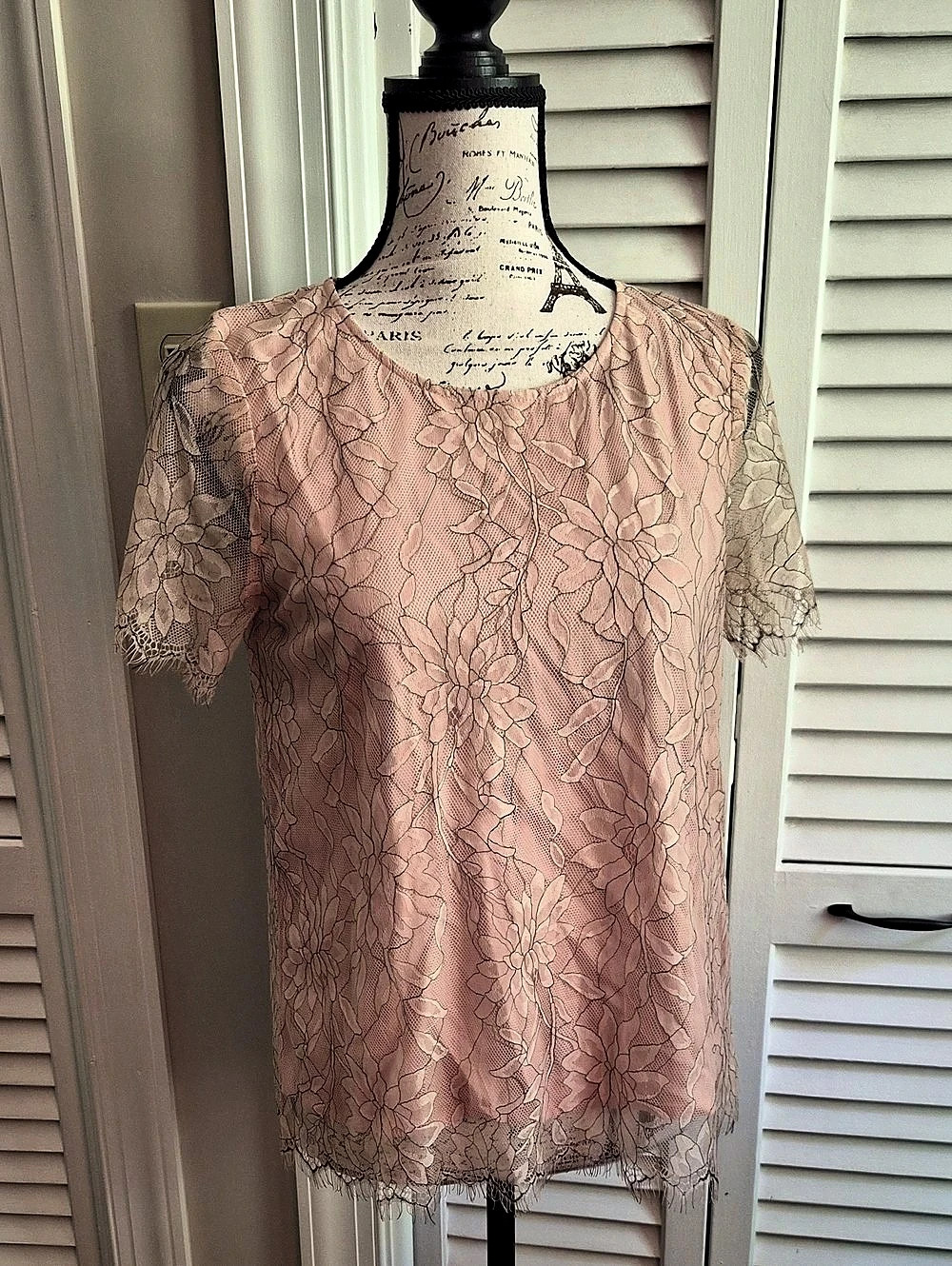 Mystree Floral Lace Short Sleeve Blouse in Pink